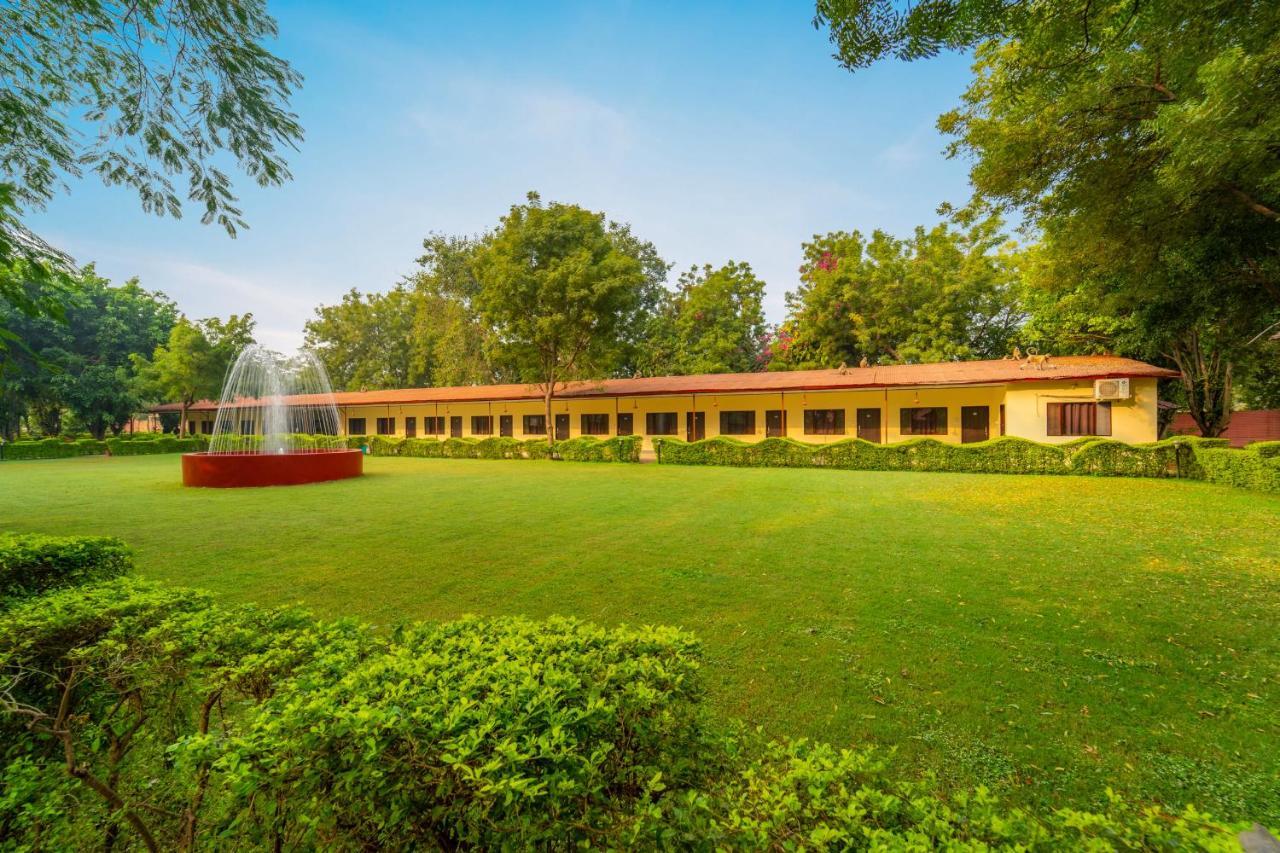 Narmada Hills Resort Godarpura Exteriör bild