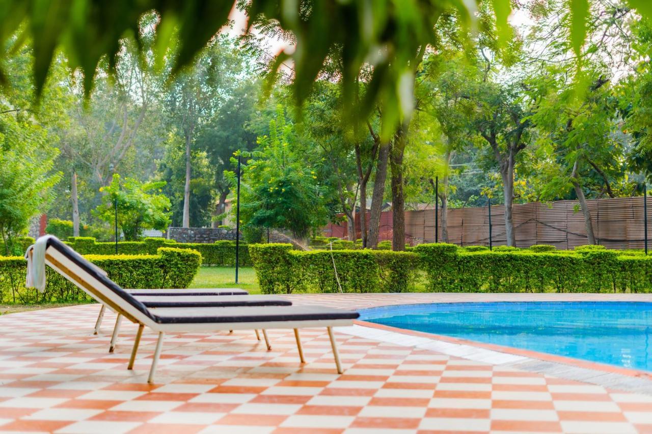 Narmada Hills Resort Godarpura Exteriör bild
